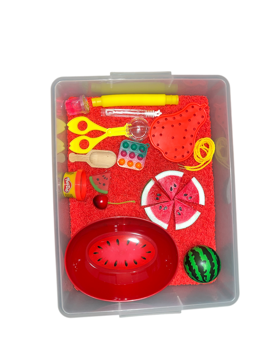 19 PC Watermelon Special Edition Sensory Bin