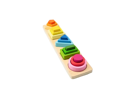 16 PC Montessori Geometric Wood Puzzle